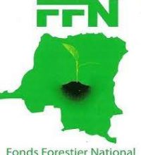 FFN